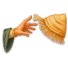 🤲