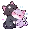 🐱