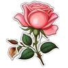 🌷