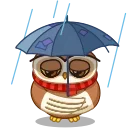 ☔️