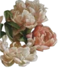 🌺