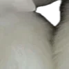😆