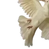 🪽