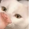 🤩