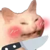 🔪