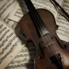 🎻