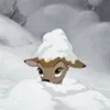 ☃️