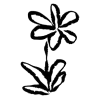 🌱