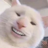 🤪