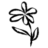 🌱