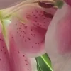 🤩