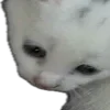 😄