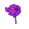 🌹