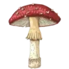 🍄