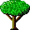 🌳