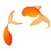 🧡