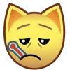 🤒