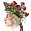 🍄