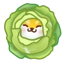 🥬