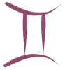 ♊️
