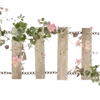 🌟
