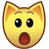 😲