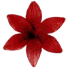 🌺