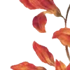 〰