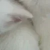 😅