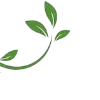 🌱