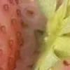 🤩