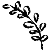 🌱