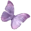 🦋