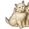 🐈