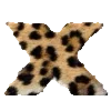 🐆