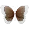 🦋