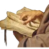 🤎