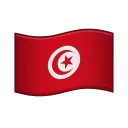 🇹🇳