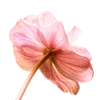 💐
