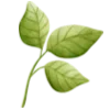 🌿