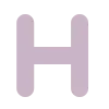 🟣