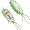 🦠