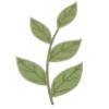 🌿