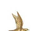 🪽