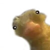 🦆