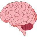 🧠