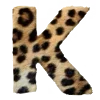🐆