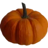🎃