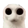 🙀