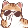 😎